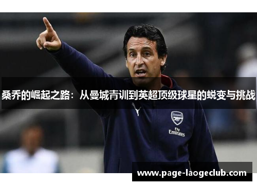 桑乔的崛起之路：从曼城青训到英超顶级球星的蜕变与挑战