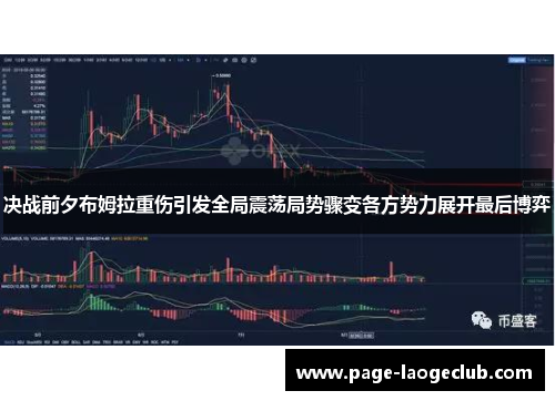 决战前夕布姆拉重伤引发全局震荡局势骤变各方势力展开最后博弈