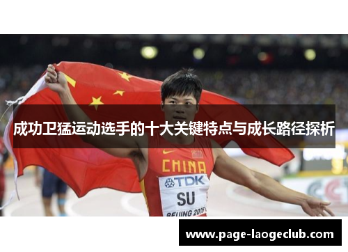 成功卫猛运动选手的十大关键特点与成长路径探析