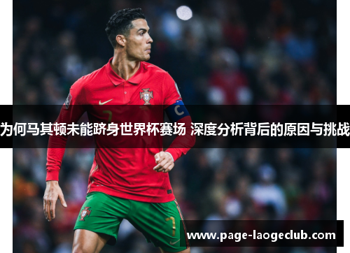 为何马其顿未能跻身世界杯赛场 深度分析背后的原因与挑战