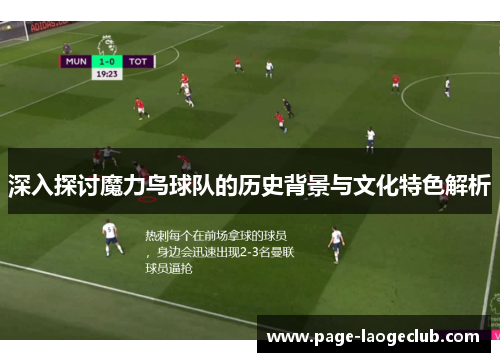 深入探讨魔力鸟球队的历史背景与文化特色解析