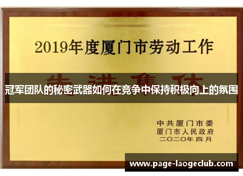 冠军团队的秘密武器如何在竞争中保持积极向上的氛围