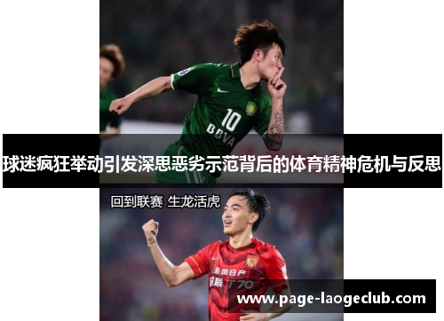 球迷疯狂举动引发深思恶劣示范背后的体育精神危机与反思