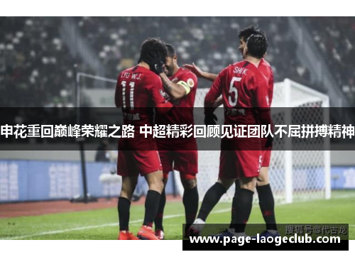 申花重回巅峰荣耀之路 中超精彩回顾见证团队不屈拼搏精神