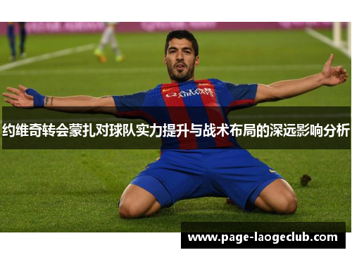 约维奇转会蒙扎对球队实力提升与战术布局的深远影响分析
