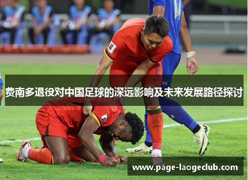 费南多退役对中国足球的深远影响及未来发展路径探讨