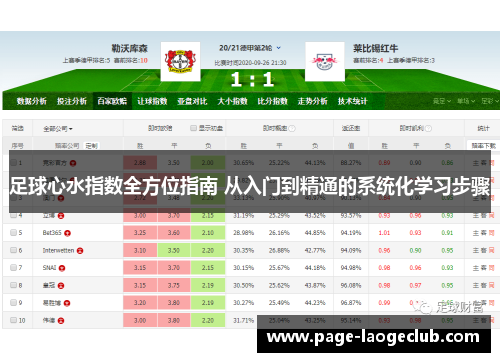 足球心水指数全方位指南 从入门到精通的系统化学习步骤